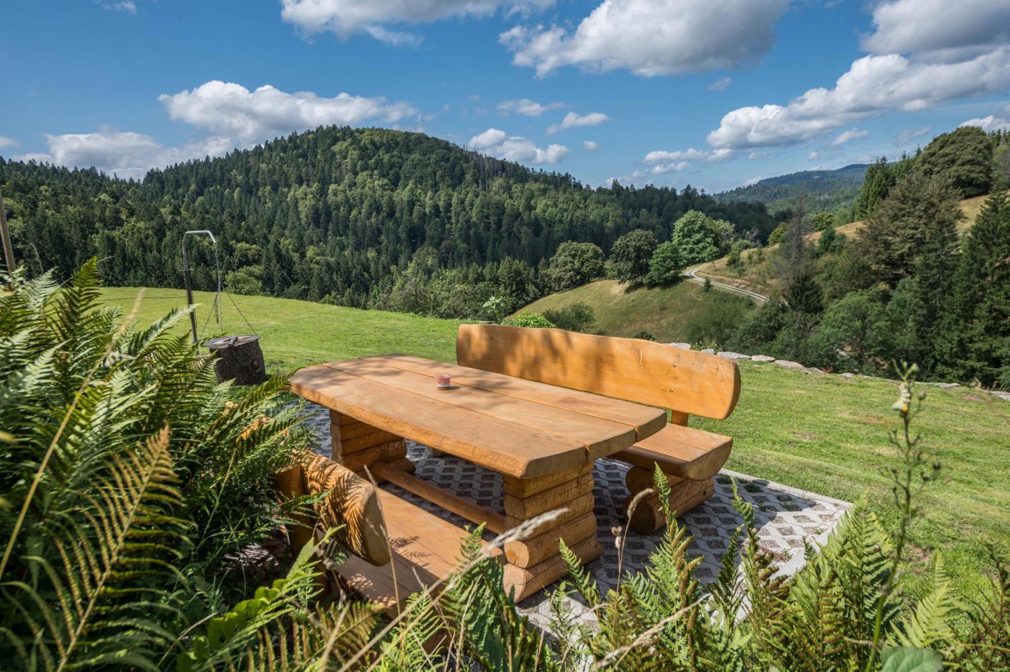 Villa Ferien Alm Alfret à Herrischried Extérieur photo